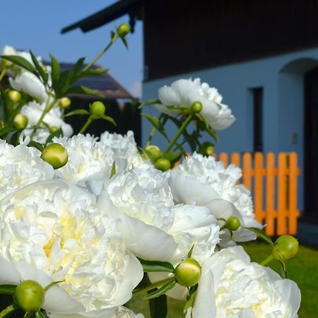 Ferienhaus Antdorfer Gartenglueck Экстерьер фото